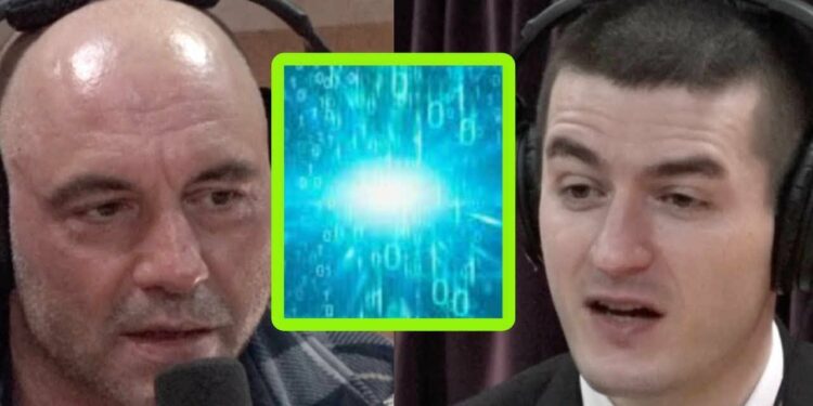 AI Expert Lex Fridman Weighs in on Simulation Theory