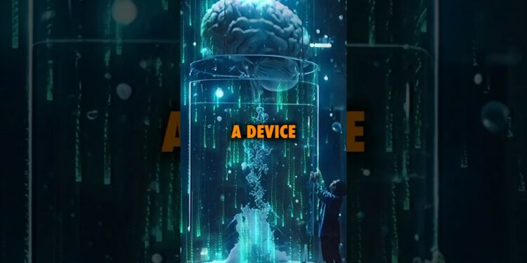 AI computer ran off of lab grown Human brain… #ninjasarebutterflies #podcast #ai