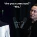 This AI says it's conscious and experts are starting to agree. w Elon Musk.