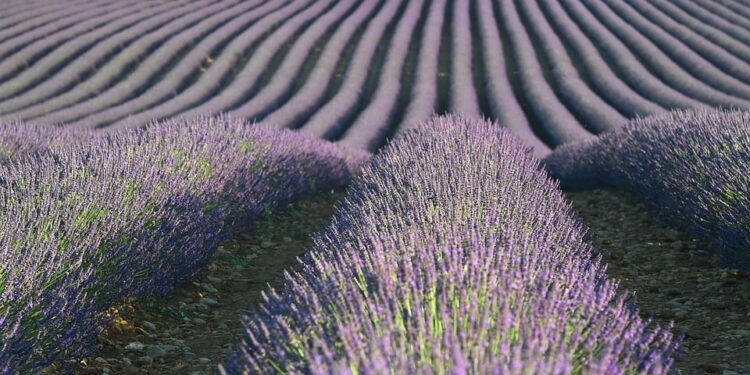 Essential AI Books for Data Analysis