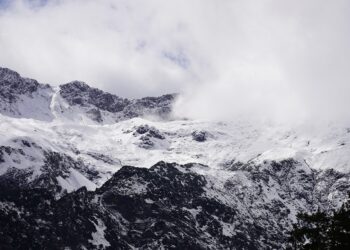 Top AI Software for Retail Analytics