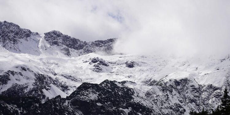 Top AI Software for Retail Analytics