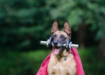 AI Tricks for Enhancing PPC Campaigns