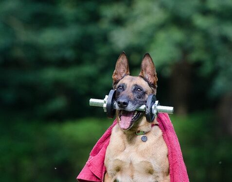 AI Tricks for Enhancing PPC Campaigns