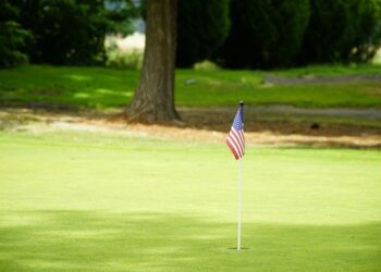 AI Courses for Financial Analysts