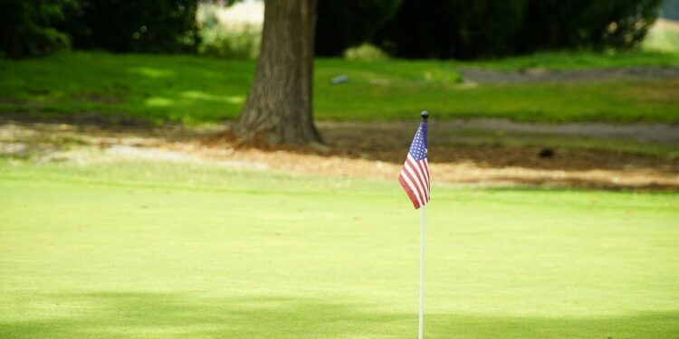 AI Courses for Financial Analysts