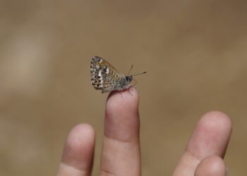 AI Tips for Creating Data-Driven Campaigns