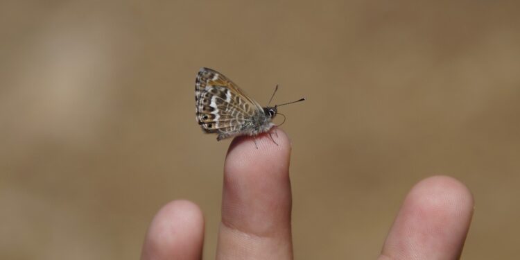 AI Tips for Creating Data-Driven Campaigns